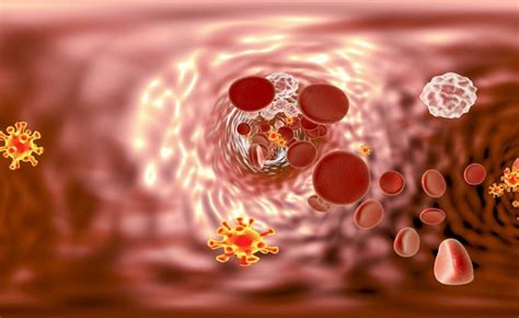 AIDS: Transmission and Survival – YelloVV Kitty