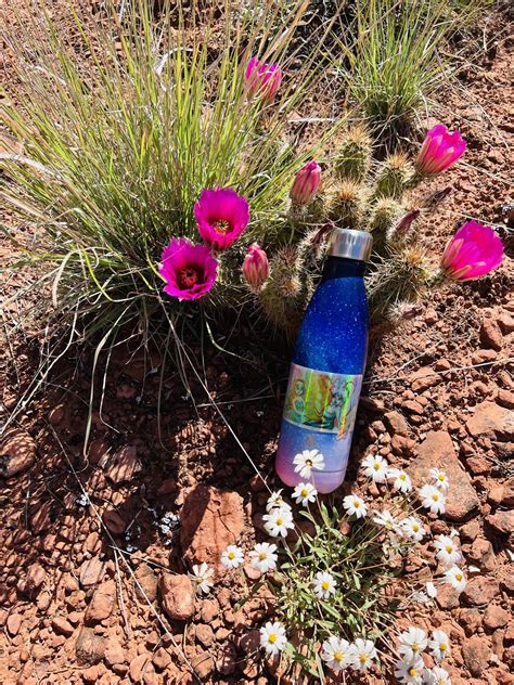 Krystal Lynn Art added a new photo. - Krystal Lynn Art