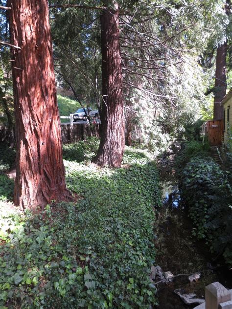 temescal beach house in oakland 11