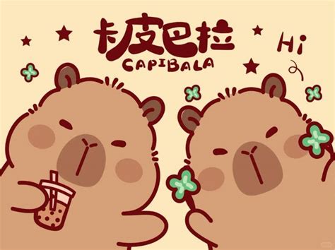 #hìnhnền ipad/máy tính Capybara | Lì xì, Hình nền, Động vật