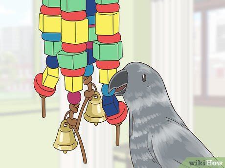 3 Ways to Stop an Eclectus from Feather Plucking - wikiHow Pet