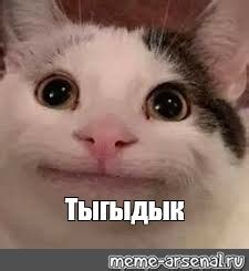 Мем: "Тыгыдык" - Все шаблоны - Meme-arsenal.com