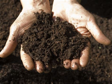 Soil
