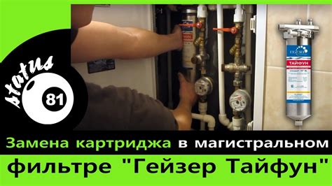 Магистральный фильтр Гейзер Тайфун / Самостоятельная замена картриджа ...