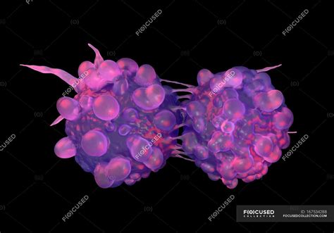 cancer cell morphology cells generated stock photo