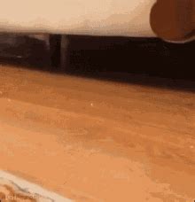 Cat Peek GIF - Cat Peek - Discover & Share GIFs