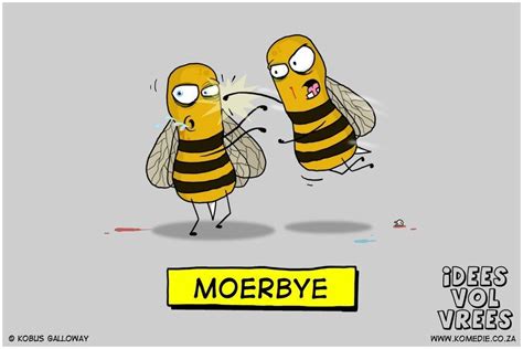 moerby funny images funny jokes funny