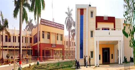 mmmut gorakhpur   admission fees courses cutoff