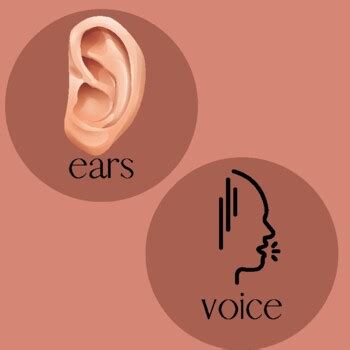 speech     speech teacher store tpt