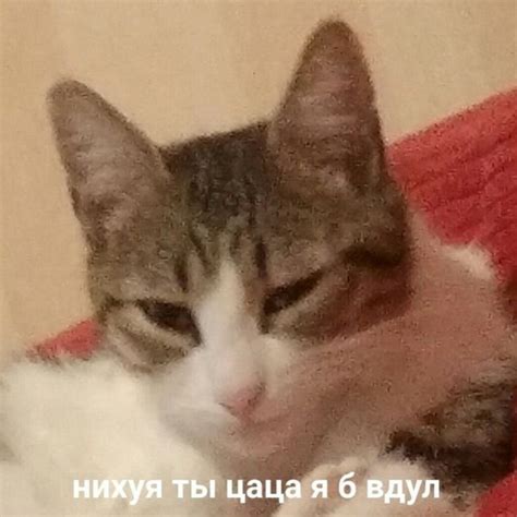 Пин от пользователя Sonya на доске