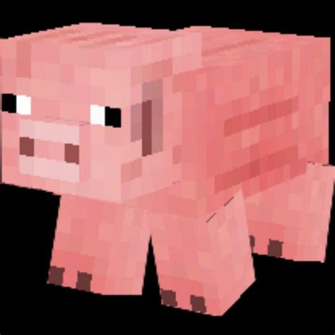 Minecraft Pig Skin Template