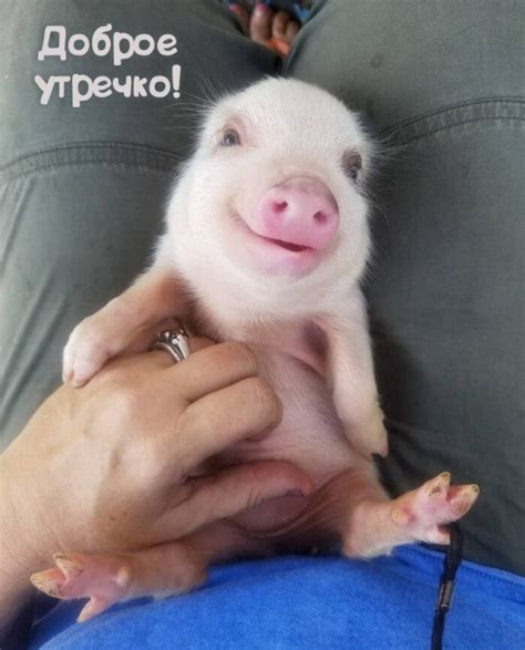 Картинки с надписью - Доброе утречко!.