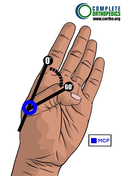 area thumb joint  marshall hite blog