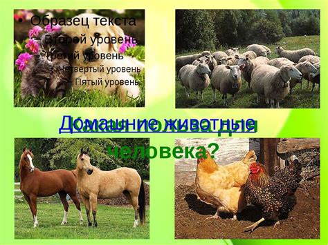 Презентация "Какие бывают животные (1 класс)" - скачать бесплатно