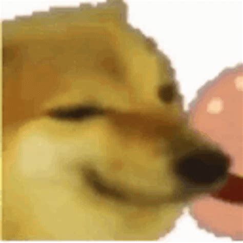 Cheems Doggo GIF - Cheems Doggo Chems - Discover & Share GIFs