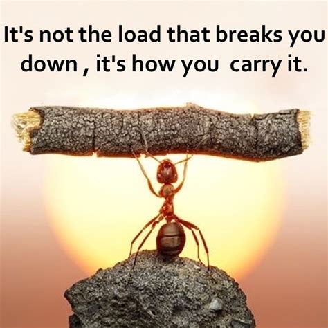 religion  fitness   load feel  heavy