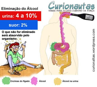 Quanto Tempo O Organismo Leva Para Eliminar O Álcool - Efeitos do Álcool no Metabolismo Humano