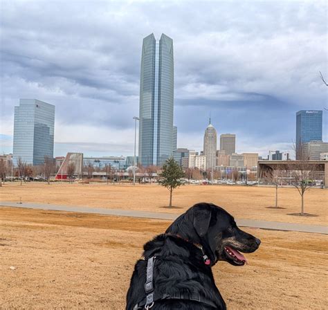Muttropolitan Pets | Oklahoma City OK