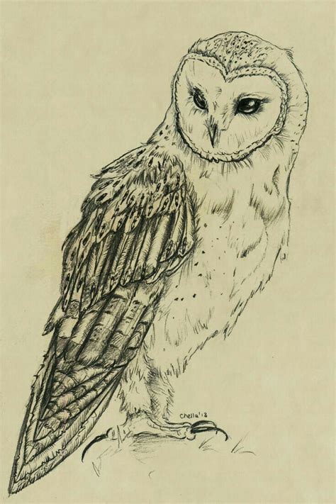 11216 best Love for Owls images on Pinterest | Drawings, Owl art and ...