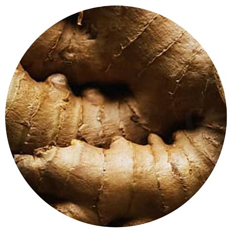 diy exfoliating scalp scrub 10