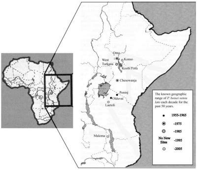 Paranthropus boisei. Jaciments Human Evolution