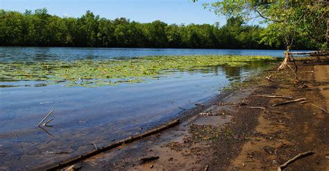 At the Forefront of Shoreline Management
