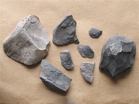 chipped stone analysis rediscovering    museum