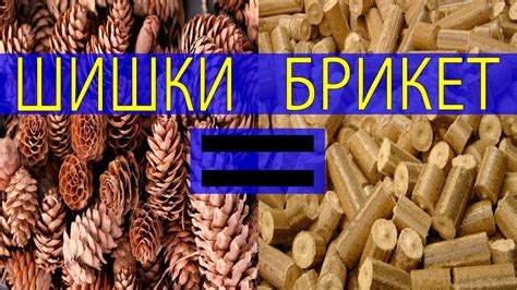 Брикет из шишек. Из чего можно делать топливные брикеты. - YouTube