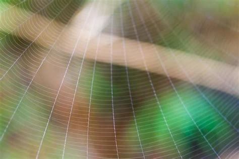 Web Pattern Stock Photos, Images and Backgrounds for Free Download
