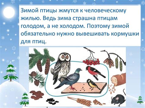 Зимующие птицы - презентация онлайн