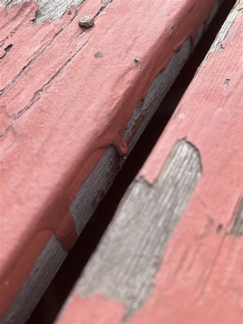 Types of Deck Stains in 2024 by Scott Paul: Pro Contractor