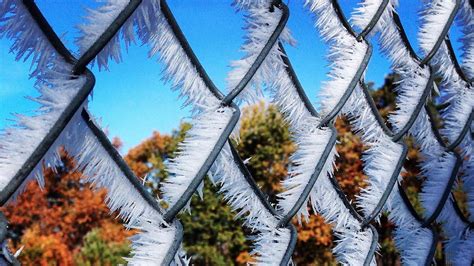 hoarfrost  science  frost  steroids  weather channel