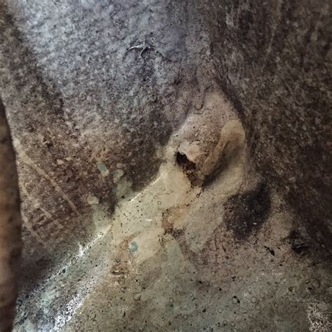 The Hidden Truth Behind The Plug Talk Leak - Truth or Fiction