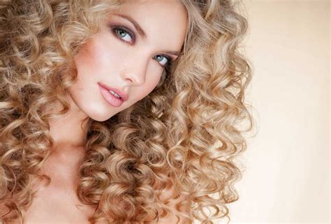 perm definition  meaning collins english dictionary