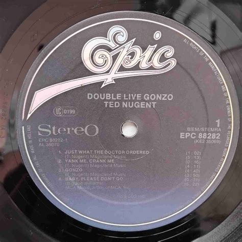 Ted Nugent – Double Live Gonzo! Disc VINIL LP - Hifi Audio Mix