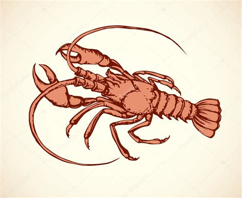 Крейф. Векторний малюнок Stock Vector by ©Marinka 114990644