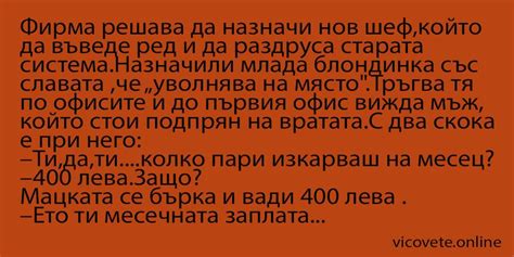 Нов шеф – Най-яките вицове