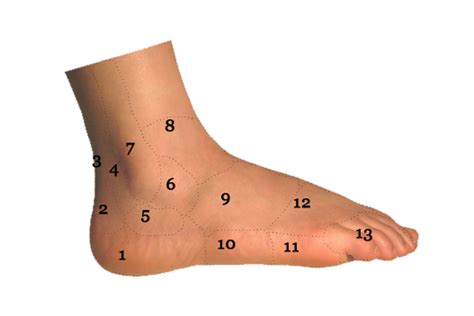 [DIAGRAM] Side Foot Pain Diagram - MYDIAGRAM.ONLINE