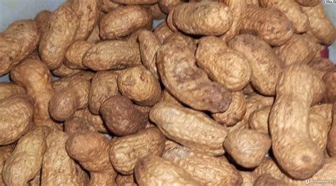 Арахис F&Z Nuts в скорлупе Неочищенный Жареный, Крупный 500г, Чили ...
