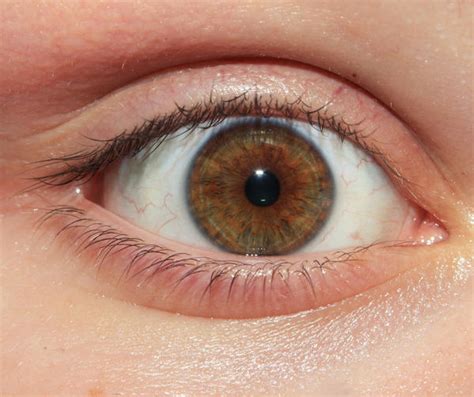 My Eye Stock by asphyxiate-Stock on deviantART
