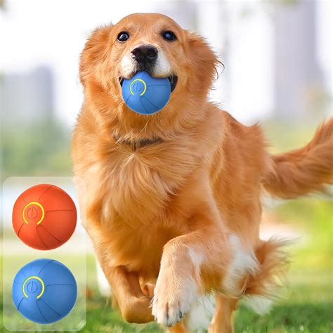 Msgweeeg Dog Toys Toys for Dogs Bouncing Dog Interactive Dog Toy