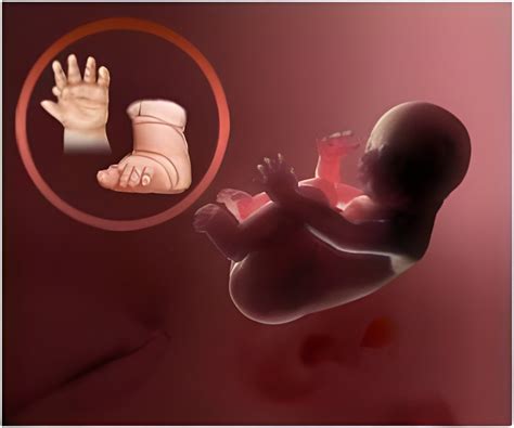 haryana initiates birth defect surveillance  india  primary