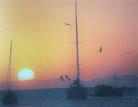 visit insular region  travel guide  insular region venezuela