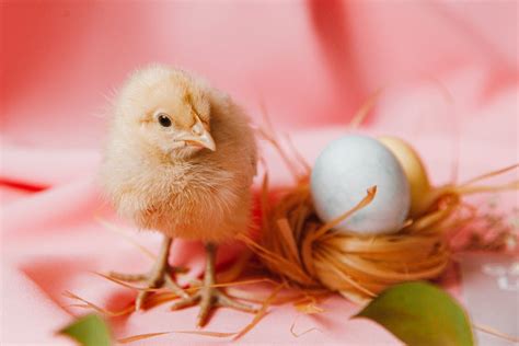Egg Freezing 101: 7 Tips to Help You Prepare | Mama Glow