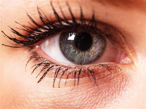 Facts about the eyes you should know