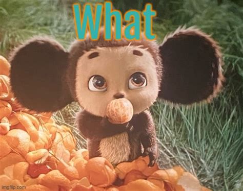 Cheburashka has a question - Imgflip