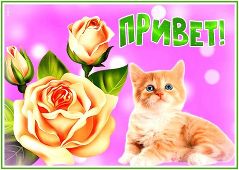 Открытка привет дорогая | Открытки Онлайн