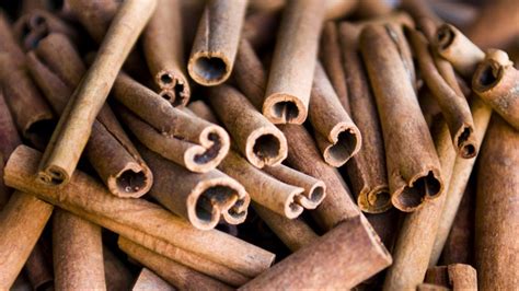 Cinnamon Uses and Plant Profile
