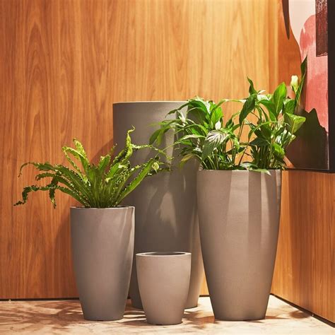 Vaso De Plantas Medio - Vaso De Planta Medio - FDPLEARN