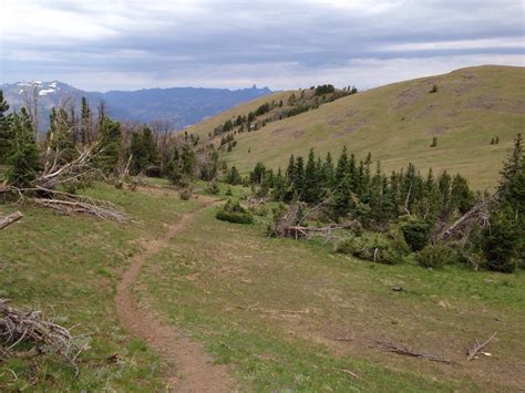 Windy Mountain Trail | Natural Atlas